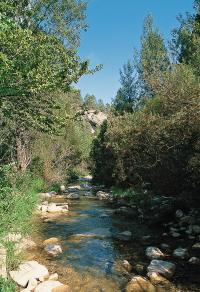 Río Carbo 