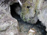 Cueva del Sagral