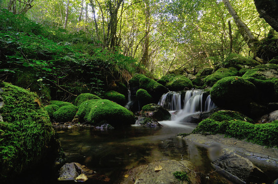 Rio Muniellos