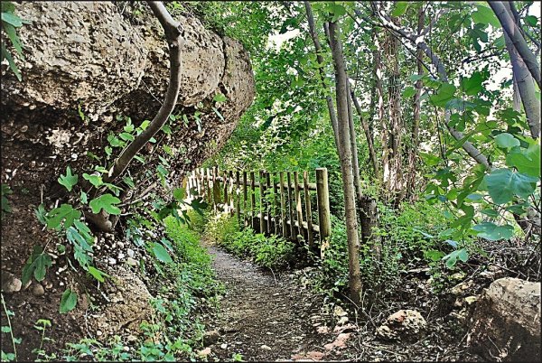 Ruta botánica Vila-real - Calduch