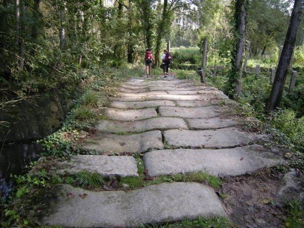 Camino de Santiago portugués: naturaleza en estado puro (Camino desde Tui hasta Redondela)